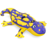 Надувная игрушка-наездник BESTWAY САЛАМАНДРА 41502, 191х119см, от 3 лет 41502 BW